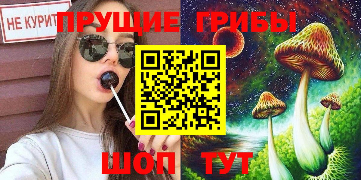 Псилоцибиновые грибы Cubensis Ликино-Дулёво